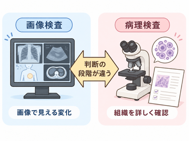 画像検査と手術後の病理検査の違いを説明する図解イラスト