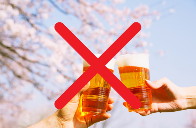 花見でビールだめの写真